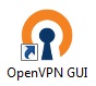 OpenVPN icon